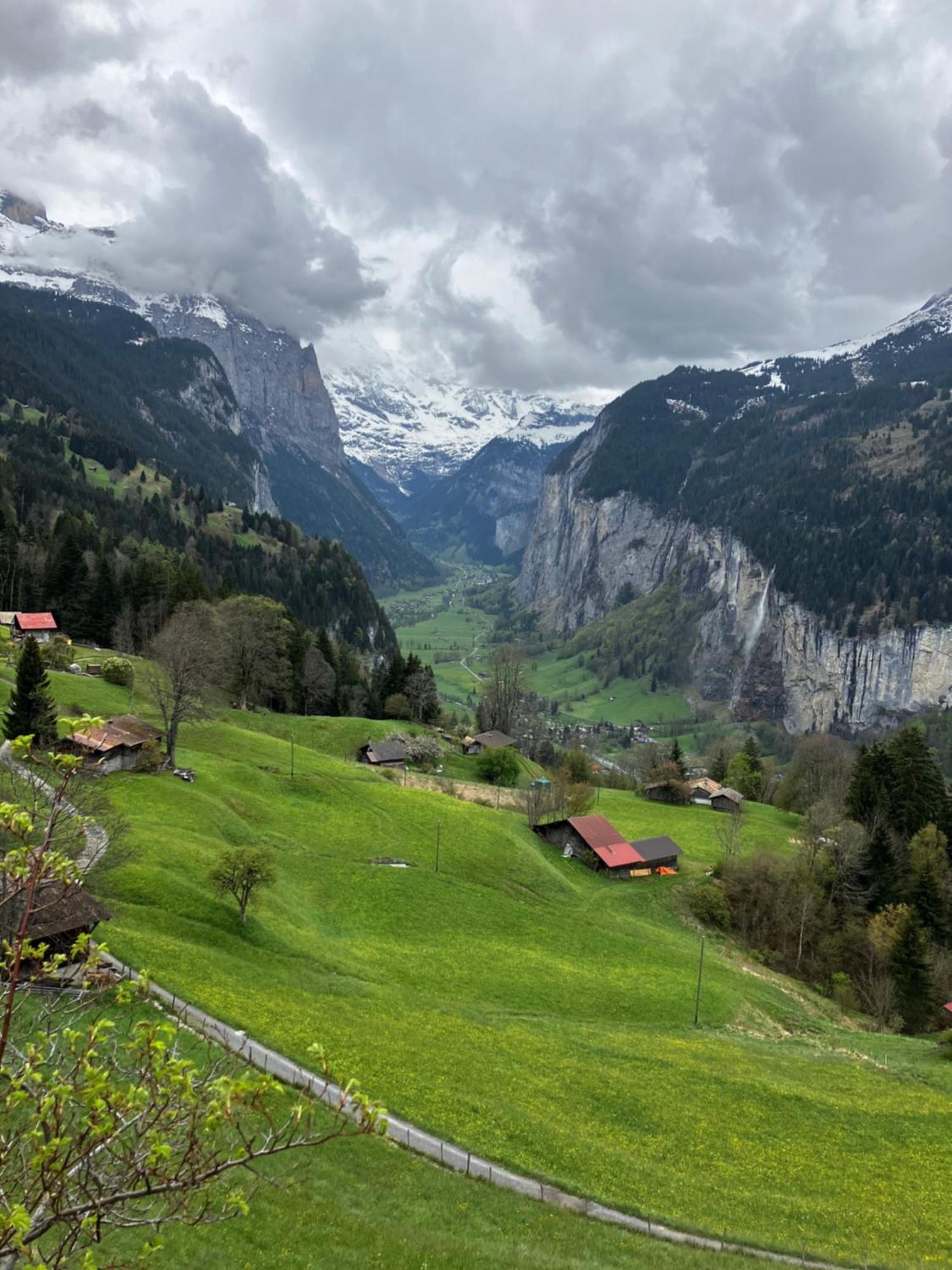 Chalet Alpina Gyger Wengen Extérieur photo