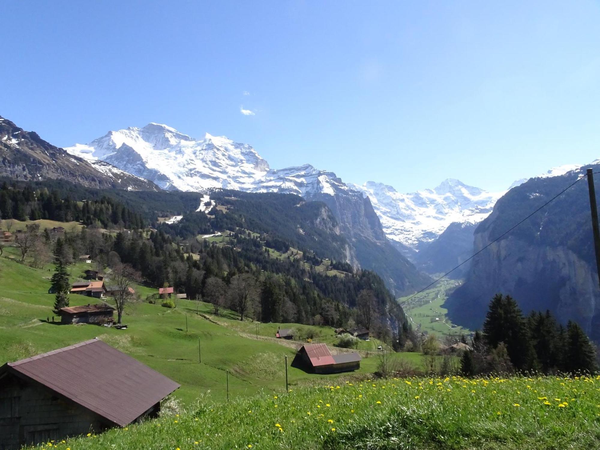 Chalet Alpina Gyger Wengen Extérieur photo