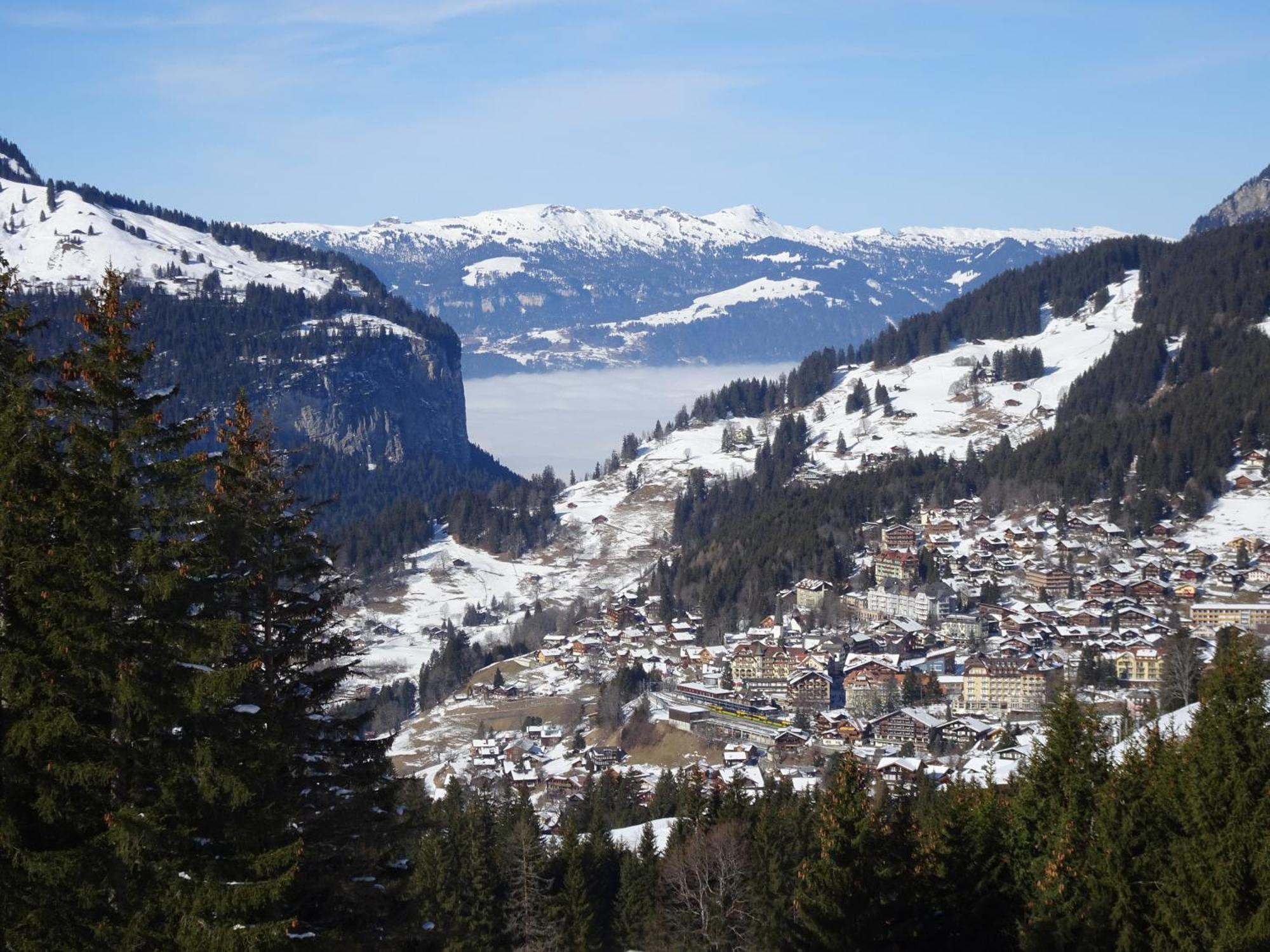 Chalet Alpina Gyger Wengen Extérieur photo