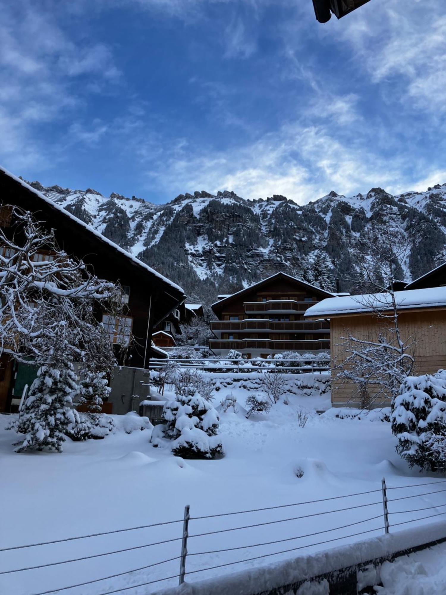 Chalet Alpina Gyger Wengen Extérieur photo